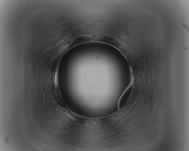 X0000091911058200709121513