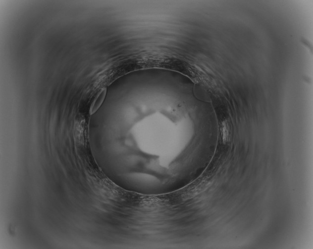 X0000091911059200709121513