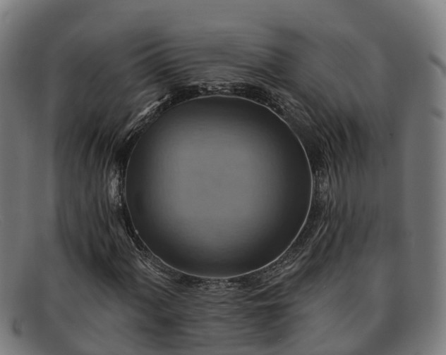 X0000091911060200709121513