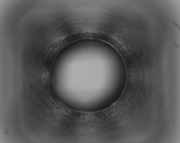 X0000091911061200709121513