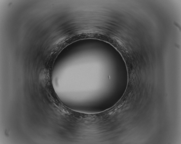 X0000091911062200709121513