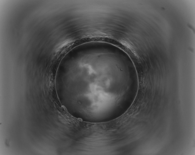 X0000091911063200709121513