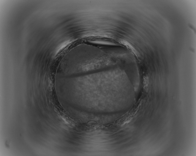 X0000091911064200709121513