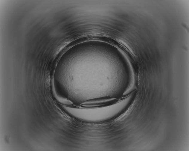 X0000091911065200709121513