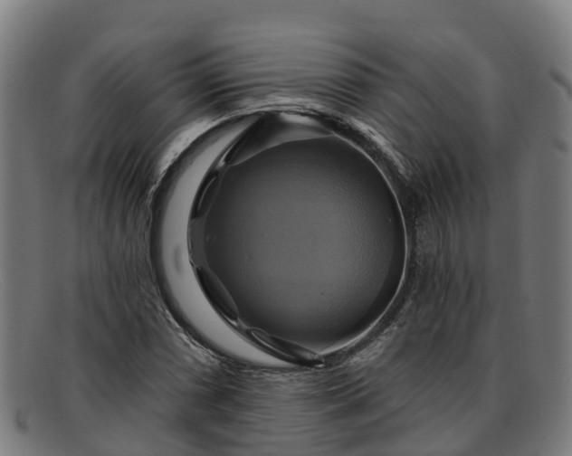 X0000091911066200709121513