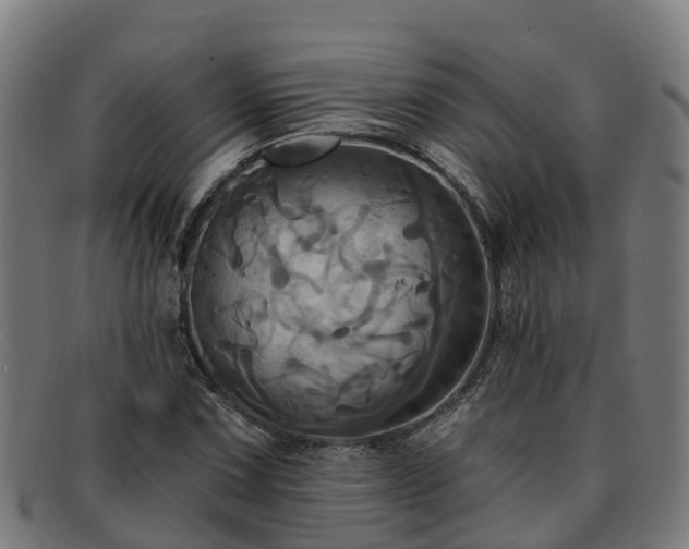 X0000091911067200709121513