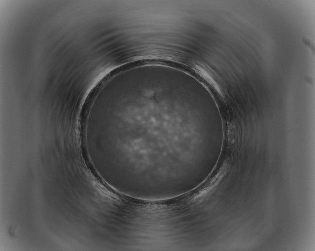 X0000091911068200709121513