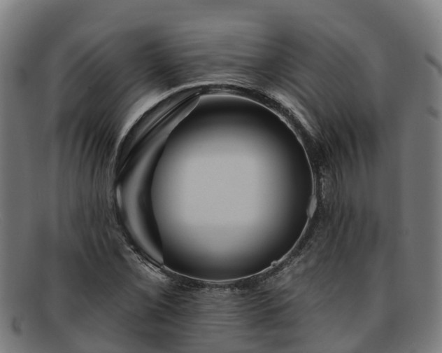 X0000091911069200709121513