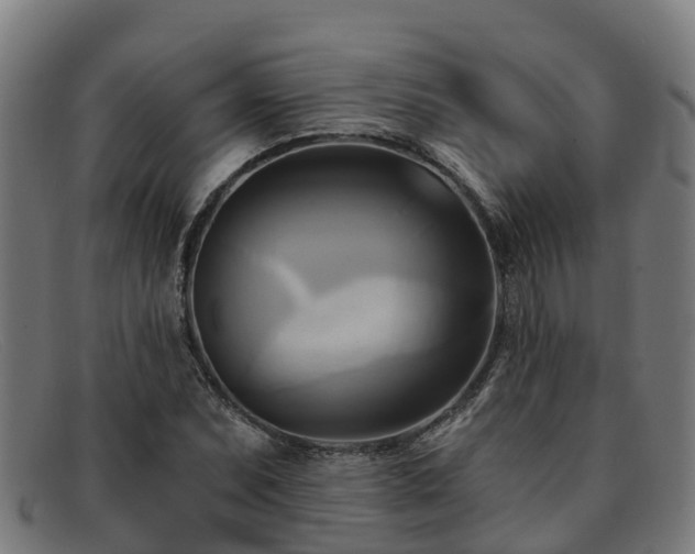 X0000091911071200709121513