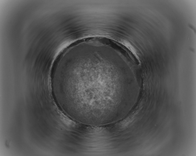 X0000091911072200709121513