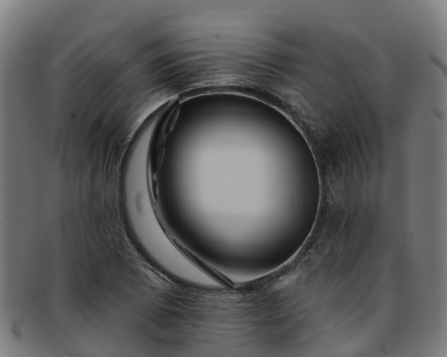 X0000091911073200709121513