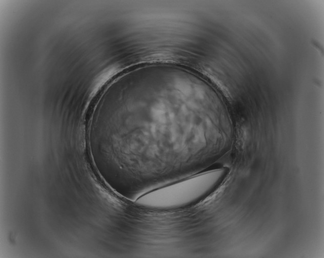 X0000091911075200709121513