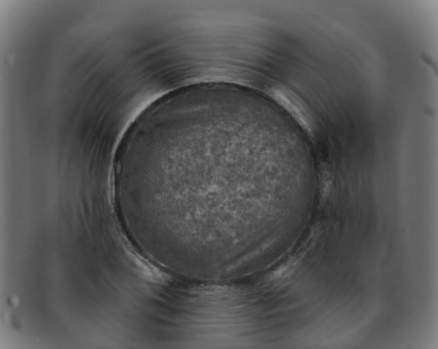 X0000091911076200709121513