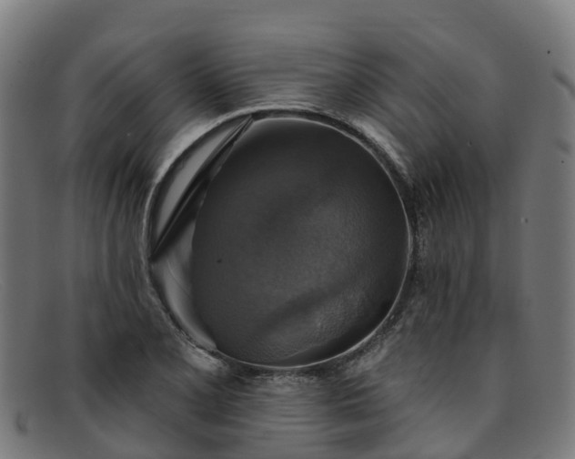 X0000091911077200709121513