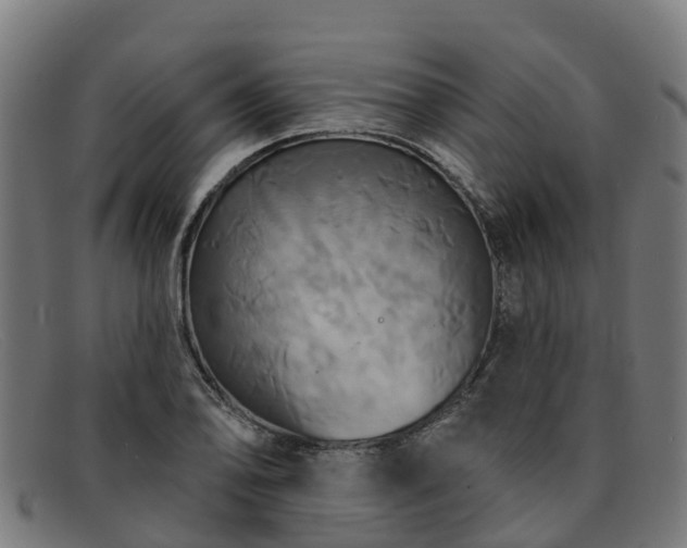 X0000091911078200709121513