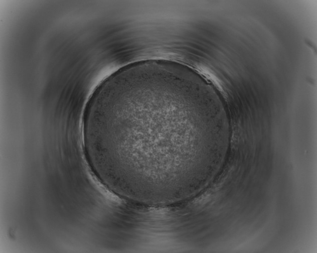 X0000091911080200709121513