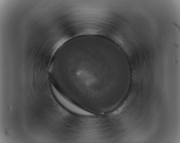 X0000091911081200709121513