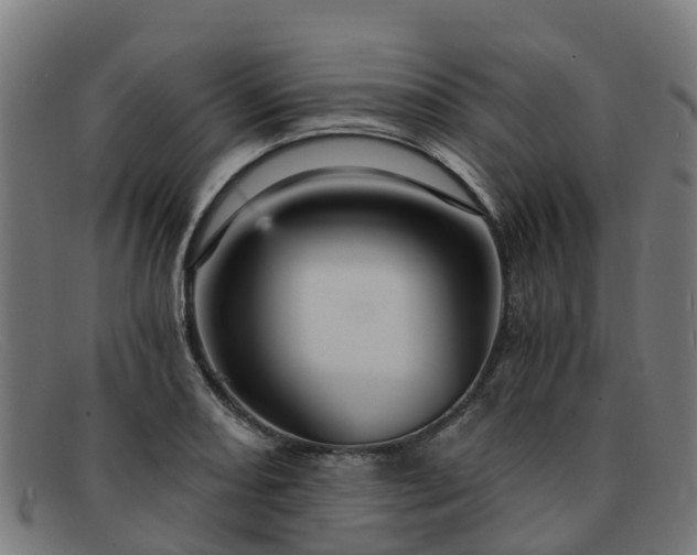 X0000091911082200709121513