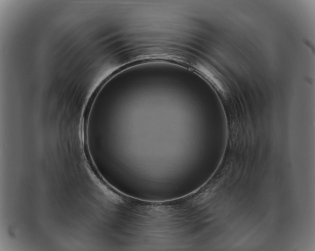 X0000091911084200709121513