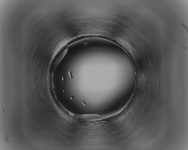 X0000091911085200709121513