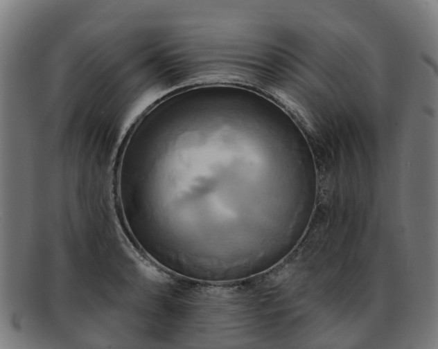 X0000091911086200709121513