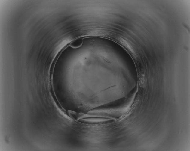 X0000091911087200709121513