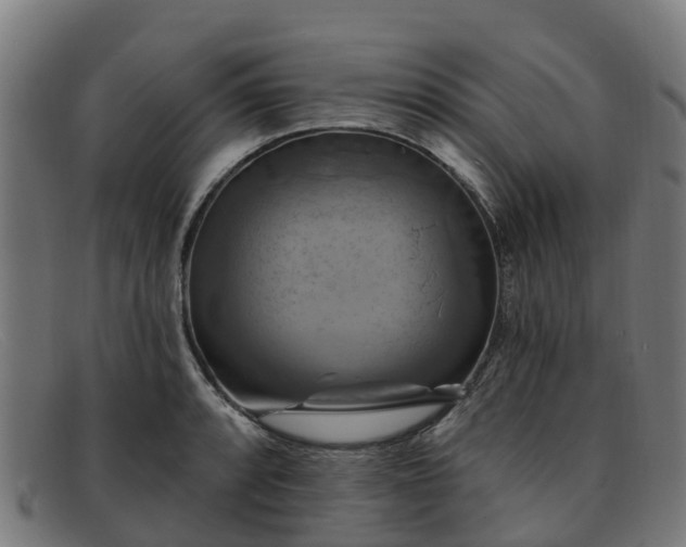 X0000091911088200709121513