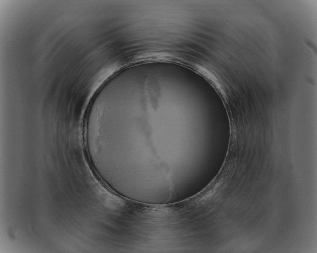 X0000091911090200709121513