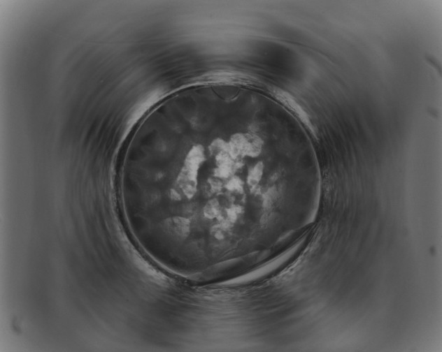 X0000091911091200709121513