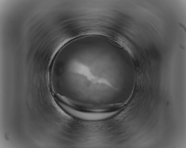 X0000091911092200709121513