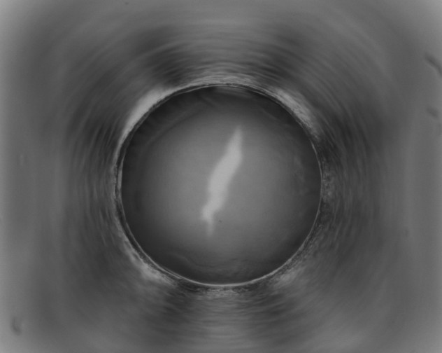 X0000091911094200709121513