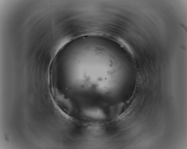 X0000091911095200709121513