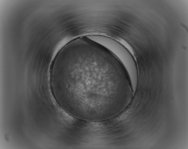 X0000091911096200709121513