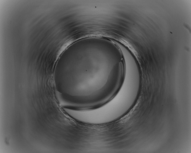 X0000091911097200709121512