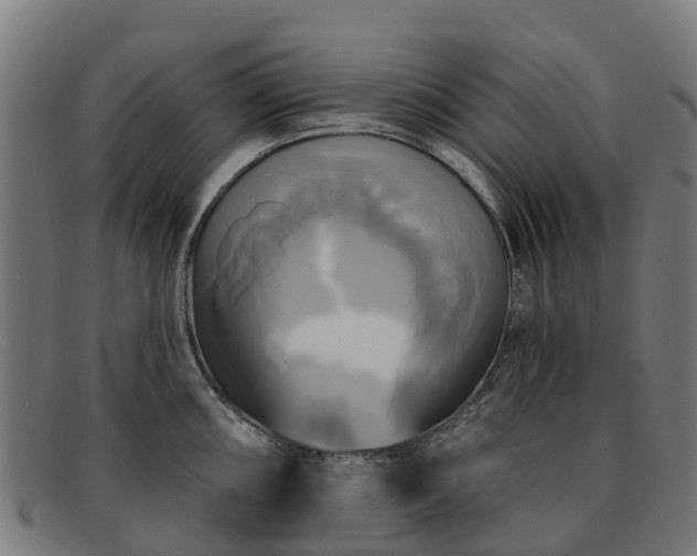 X0000091911098200709121512