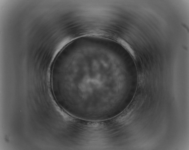 X0000091911099200709121512