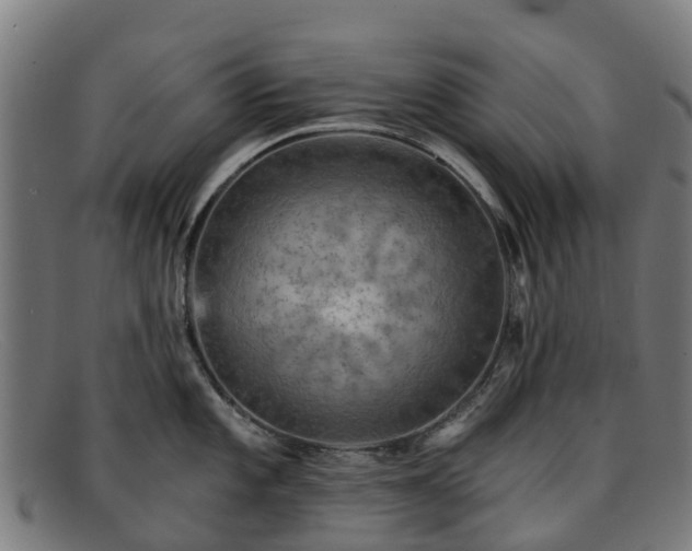 X0000091911101200709121512