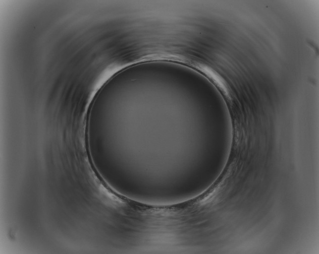 X0000091911102200709121512