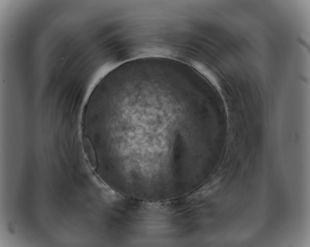 X0000091911104200709121512