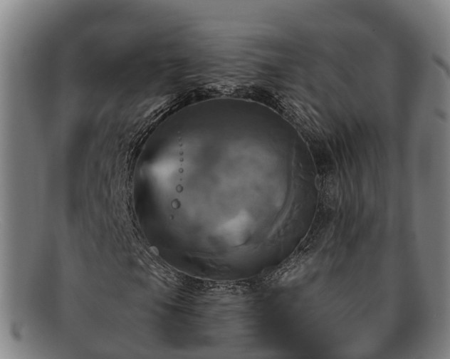 X0000091911105200709121512