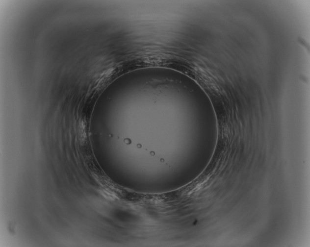 X0000091911106200709121512