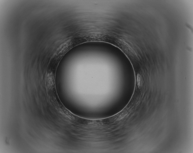 X0000091911107200709121512