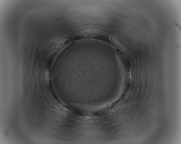 X0000091911108200709121512