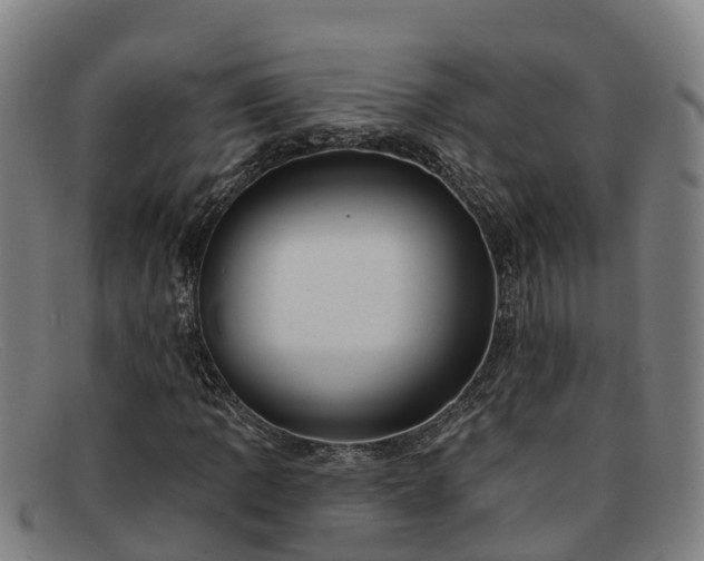 X0000091911109200709121512