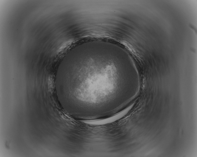 X0000091911110200709121512