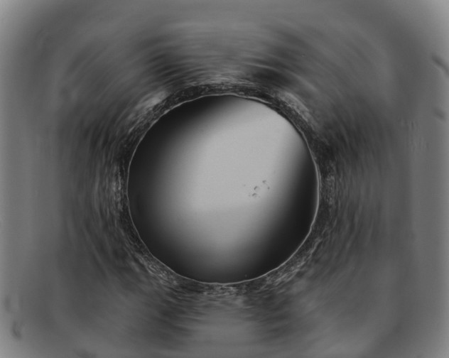 X0000091911111200709121512