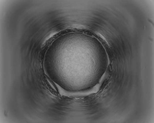 X0000091911112200709121512