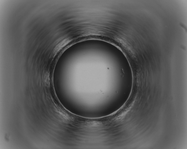 X0000091911113200709121512