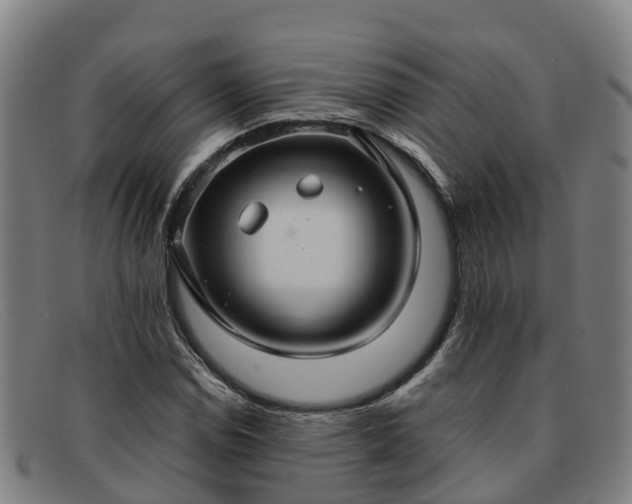 X0000091911114200709121512