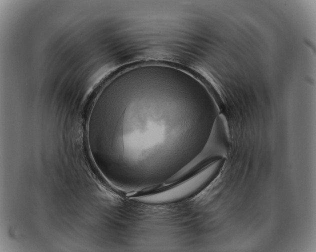 X0000091911115200709121512